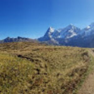 Meet your Posher, Austen